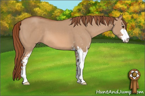 Horse Color: Red Dun Sabino 