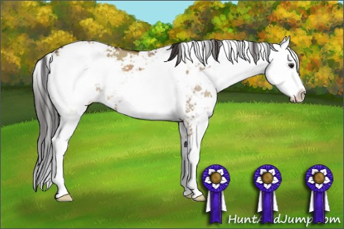 Horse Color: Brown Dun Sabino 