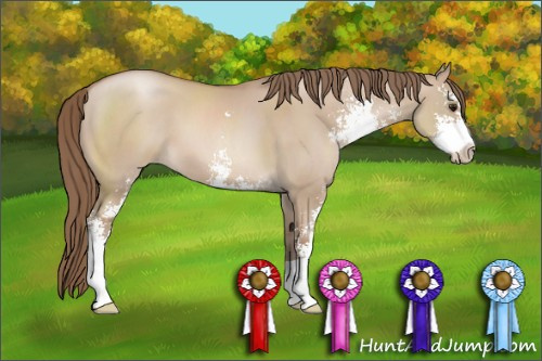 Horse Color: Grullo Pearl Sabino 