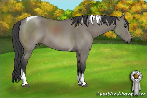 Horse Color: Grullo Sabino Tobiano 