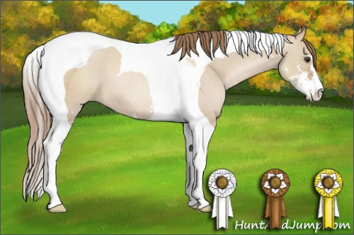 Horse Color: Grullo Pearl Sabino Tobiano 