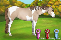 Horse Color:Grullo Pearl Sabino Tobiano 