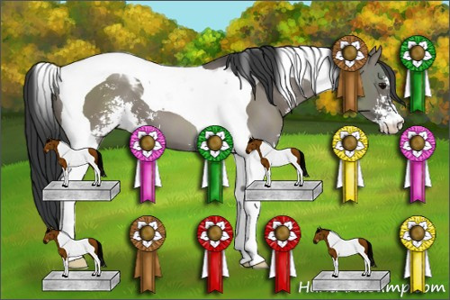 Horse Color: Grullo Sabino Tobiano 
