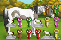 Horse Color:Grullo Sabino Tobiano 