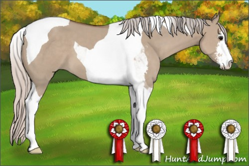 Horse Color: Silver Grullo Sabino Tobiano 