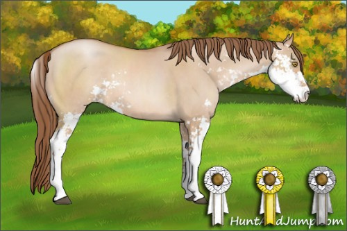 Horse Color: Brown Pearl Dun Sabino 
