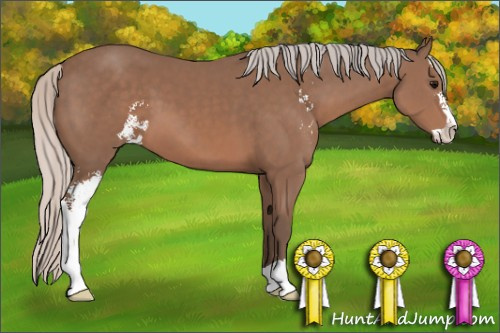Horse Color: Silver Black Sabino 