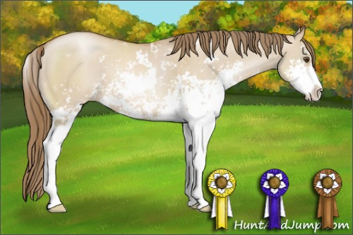 Horse Color: Grullo Pearl Sabino 