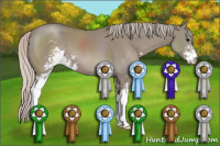 Horse Color:Silver Grullo Sabino 