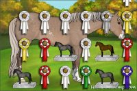 Horse Color:Silver Grullo Sabino 