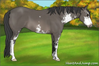 Horse Color:Black Sabino