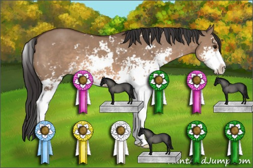 Horse Color: Brown Dun Sabino 
