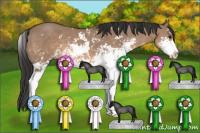 Horse Color:Brown Dun Sabino 