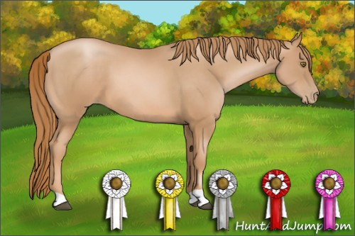Horse Color: Chestnut Pearl 