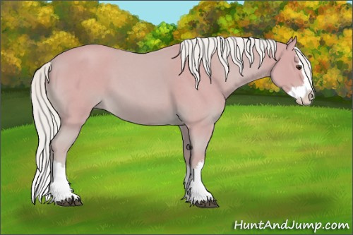 Horse Color: Watercolor Palomino Roan Splash 