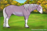 Horse Color:Watercolor Silver Bay Roan Splash