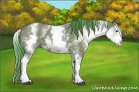Horse Color:Watercolor White Spotted Bay Roan Splash 