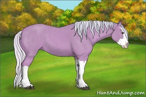 Horse Color: Watercolor Silver Buckskin Roan Splash 