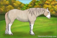 Horse Color:Watercolor Palomino Roan Splash 