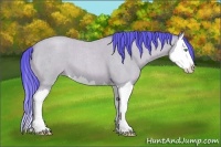 Horse Color:Watercolor Amber Cream Champagne Roan Splash
