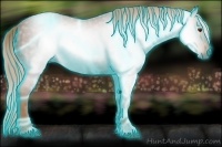 Horse Color:Gray Thunderstruck Chestnut 