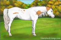 Horse Color:Chocolate Palomino Splash Tobiano 