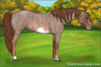 Horse Color:Liver Red Roan Frame 