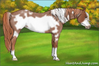 Horse Color:White Spotted Liver Red Roan Frame 