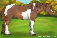 Horse Color:Liver Chestnut Tobiano 