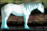 Horse Color:Gray Thunderstruck Chestnut 