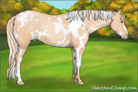 Horse Color:White Spotted Chocolate Palomino Pearl 