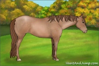 Horse Color:Brown Pearl 
