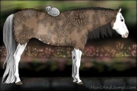 Horse Color:Bay Ice Dun Splash Rabicano 