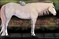 Horse Color:Watercolor Chestnut Ice Splash Rabicano 