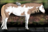 Horse Color:Red Roan Splash Frame 