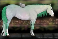 Horse Color:Watercolor Bay Ice Dun Splash 