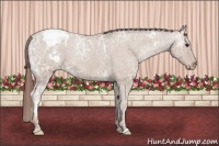 Horse Color:Classic Champagne Ice Snowcap 