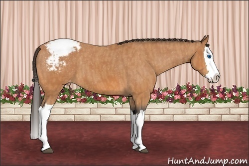Horse Color: Bay Splash Snowcap  Brindle