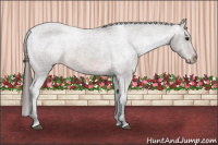 Horse Color:Brown Varnish 