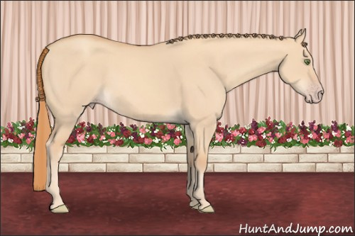 Horse Color: Gold Champagne Dun 