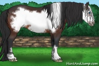 Horse Color:Bay Frame 