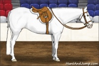 Horse Color:Palomino Roan Dun Splash Varnish 