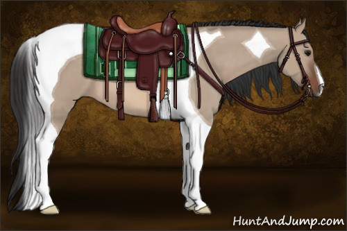 Horse Color: Brown Dun Tobiano 