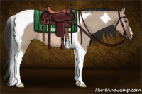 Horse Color:Brown Dun Tobiano 