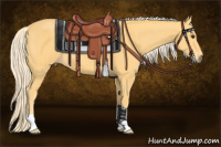 Horse Color:Palomino 