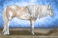 Horse Color:White Spotted Chocolate Palomino Pearl Splash 