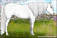 Horse Color:Palomino Pearl Splash Appaloosa