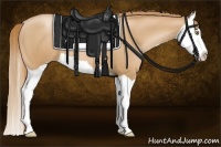 Horse Color:Chestnut Pearl Splash