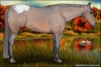 Horse Color:Bay Snowcap 