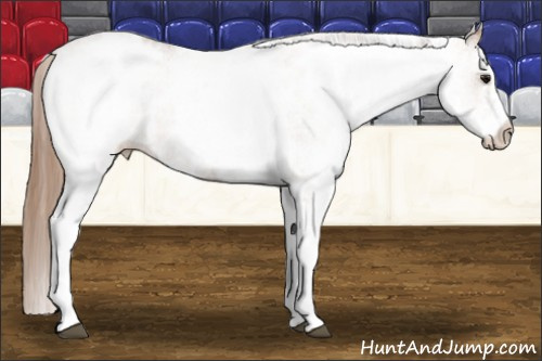 Horse Color: White Spotted Black Pearl Varnish 